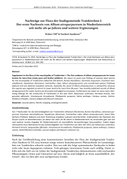 Der erste Nachweis von Allium atropurpureum in Niederösterreich seit