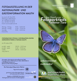 Fotoportraits seltener Tiere - Nationalpark Bayerischer Wald