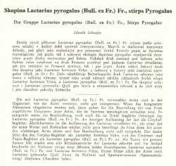 Skupina Lactarius pyrogalus (Bull. ex Fr.) Fr., stirps Pyrogalus