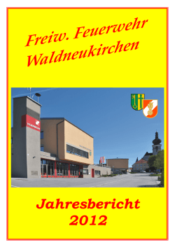 Jahresbericht 2012