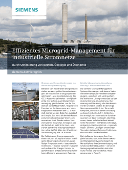 Effizientes Microgrid-Management für industrielle