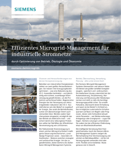 Effizientes Microgrid-Management f&uuml;r industrielle