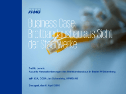 Jan Helge Schmeisky: Business Case