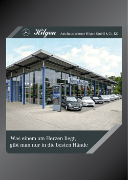 Autohaus Werner Hilgen GmbH & Co. KG