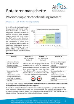 PDF "RM Nachbehandlung Phase II"