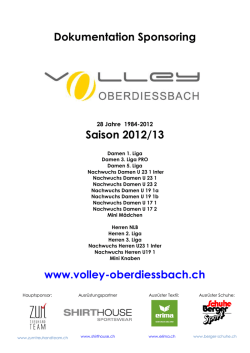 Dokumentation Volley Fruitcake