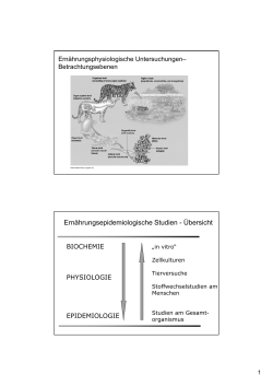 Ernährungsepidemiologische Studien