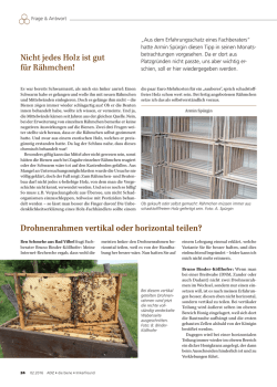 Drohnenrahmen vertikal oder horizontal teilen? Nicht jedes Holz ist