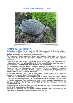 Allgemeines über Schildkröten 2015.pages