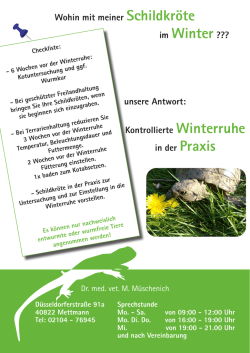Infoblatt "Winterruhe Landschildkr&ouml;te"