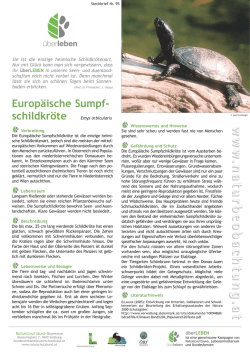Steckbrief Europ. Sumpfschildkröte