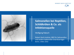 Salmonellen bei Reptilien, Schildkröten & Co. als Infektionsquelle