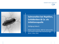 Salmonellen bei Reptilien, Schildkr&ouml;ten & Co. als Infektionsquelle