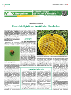 Einsatzhäufigkeit von Insektiziden überdenken