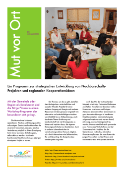 Infoblatt zum