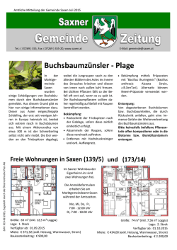 Buchsbaumzünsler - Plage