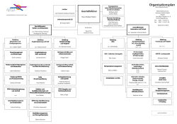 Organigramm der NASA GmbH