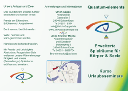 Quantum Elements - ImPulse Seminare