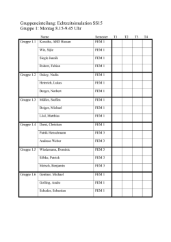 Gruppeneinteilung: Echtzeitsimulation SS15 Gruppe 1: Montag 8.15