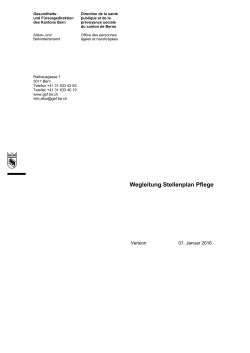 Wegleitung Stellenplan Pflege - Gesundheits