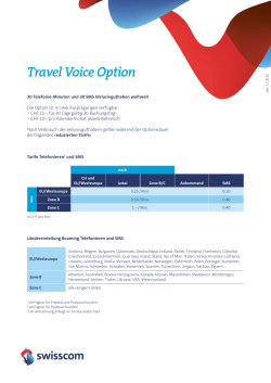 Travel Voice Option