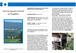 Durch den Egerischen Hochwald zum Ringelfelsen
