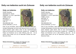 Dolly von kettenlos sucht ein Zuhause Dolly von
