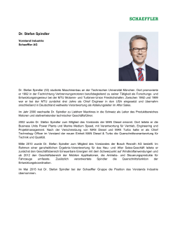 Dr. Stefan Spindler: Vorstand Industrie: Lebenslauf
