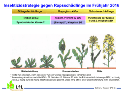 Insektizidstrategie gegen Rapssch&auml;dlinge im Fr&uuml;hjahr 2016