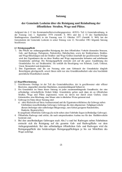 Strassenreinigungssatzung 01