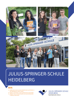 Schulbroschüre - Julius-Springer