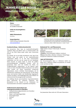 Jemmeritzer Moor - NABU-Stiftung Nationales Naturerbe