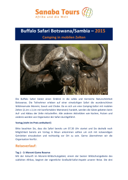 Buffalo Safari Botswana/Sambia – 2015!