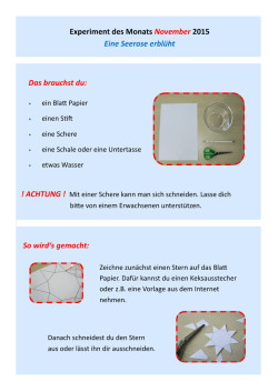 Eine Seerose bl&uuml;ht auf