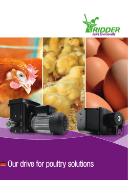 Our drive for poultry solutions