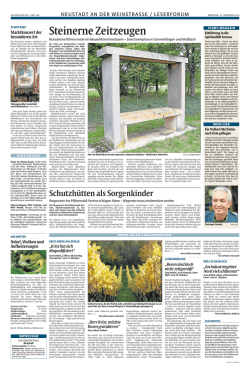Rheinpfalz 27.10.2015 Spende vom Stiftskirchenkonzert Kopie