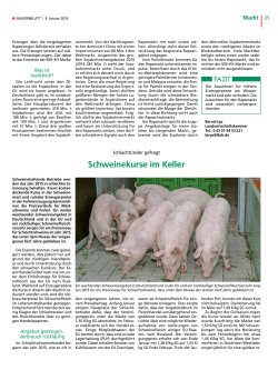 Schweinekurse im Keller - Landwirtschaftskammer Schleswig