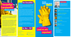 Kandidatenflyer Erbach