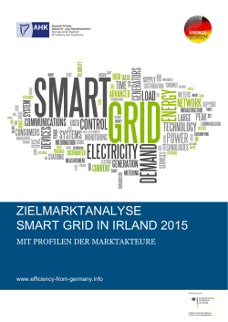 zielmarktanalyse smart grid in irland 2015 - Deutsch