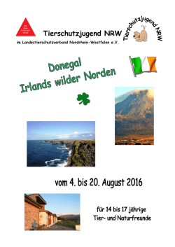 Infoflyer Sommerfreizeit Irland 2016