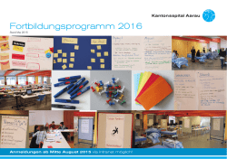 internes Fortbildungsprogramm