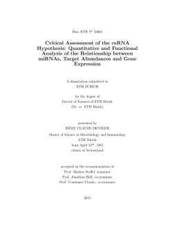 Critical Assessment of the ceRNA Hypothesis - ETH E