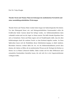 Theodor Storm und Thomas Mann als Zeitzeugen