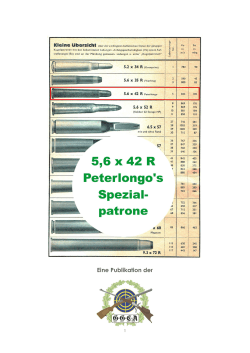 Peterlongos Spezialpatrone 5,6 x 42 R und ihre Vorbilder