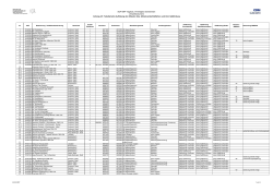 SUP BKP Tagebau Vereinigtes Schleenhain Umweltdokument