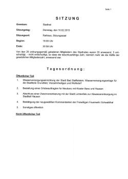 Stadtratssitzung vom 10.02.2015