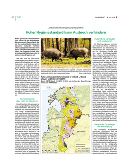 Hoher Hygienestandard kann Ausbruch verhindern