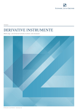 Derivative Instrumente - Schwabe, Ley & Greiner