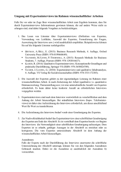 Hinweise zum Umgang mit Experteninterviews im Rahmen