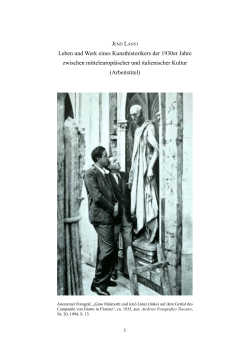 Dissertationsprojekt Medolago - Andr&aacute;ssy Universit&auml;t Budapest